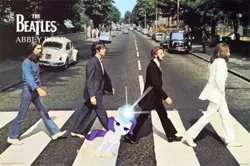 Size: 400x266 | Tagged: safe, artist:firelight563, derpibooru import, rarity, human, pony, album cover, george harrison, irl, john lennon, paul mccartney, photo, ponies in real life, rariquest, ringo starr, the beatles