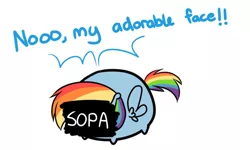 Size: 692x414 | Tagged: artist:pekou, ask my little chubbies, blob, chubbie, cute, derpibooru import, rainbow dash, safe, sopa