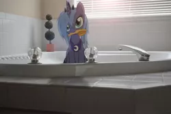 Size: 2464x1632 | Tagged: safe, artist:oppositebros, derpibooru import, princess luna, alicorn, pony, bathtub, brush, brushie brushie, cute, female, irl, lunabetes, mare, photo, ponies in real life, s1 luna, solo, vector, woona