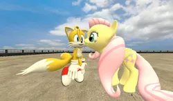 Size: 1024x600 | Tagged: artist:louie123456789, crossover, crossover shipping, dead source, derpibooru import, female, fluttershy, fluttertails, gmod, interspecies, love, male, miles "tails" prower, safe, shipping, sonic the hedgehog (series), straight