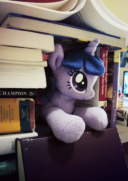 Size: 775x1089 | Tagged: artist:buttercupbabyppg, book, book fort, cute, derpibooru import, irl, photo, plushie, safe, solo, twilight sparkle