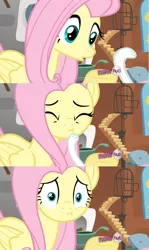 Size: 734x1235 | Tagged: angel bunny, angel is a bunny bastard, bitch slap, derpibooru import, fluttershy, hub logo, putting your hoof down, safe, screencap