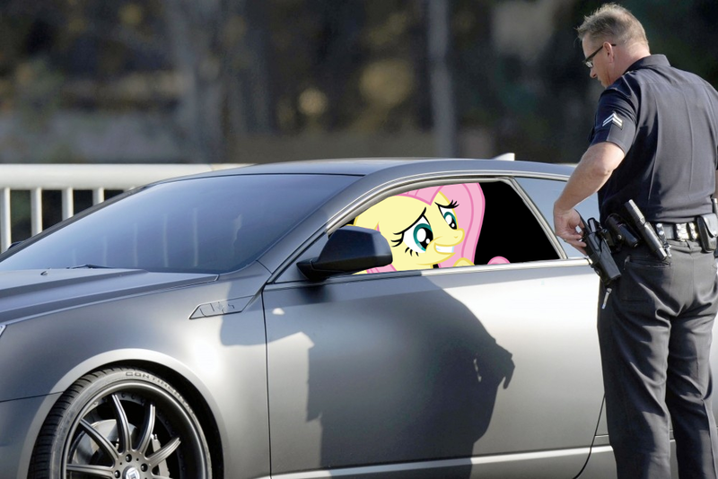 Size: 1000x667 | Tagged: safe, derpibooru import, fluttershy, human, pony, car, irl, photo, police, ponies in real life, vector