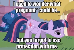 Size: 640x430 | Tagged: suggestive, derpibooru import, edit, edited screencap, screencap, twilight sparkle, pony, unicorn, caption, female, image macro, implied sex, mama twilight, mare, preglight sparkle, pregnant, solo