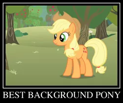 Size: 800x673 | Tagged: applejack, background pony applejack, demotivational poster, derpibooru import, meme, meta, safe, solo