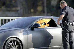 Size: 1000x667 | Tagged: safe, derpibooru import, applejack, human, pony, car, g3.5, irl, photo, police, ponies in real life, vector, when you see it