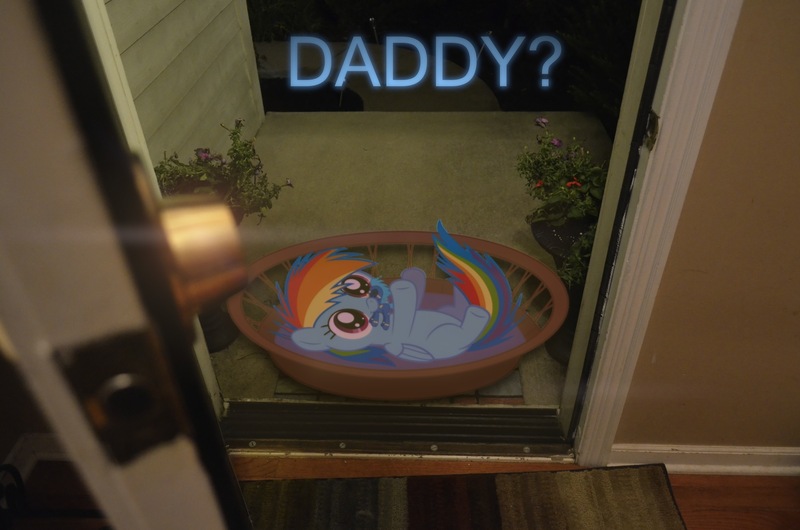 Size: 1500x994 | Tagged: safe, artist:oppositebros, derpibooru import, rainbow dash, fanfic:my little dashie, basket, cute, daaaaaaaaaaaw, dashabetes, doll, filly, foal, irl, photo, ponies in real life, text, vector