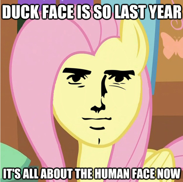 Size: 626x624 | Tagged: derpibooru import, fluttershy, image macro, safe, yaranaika