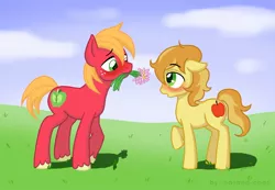 Size: 1200x831 | Tagged: safe, artist:hasana-chan, derpibooru import, big macintosh, braeburn, earth pony, pony, braemac, everypony's gay for braeburn, flower, gay, incest, male, shipping, stallion, young