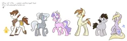 Size: 1500x486 | Tagged: safe, artist:egophiliac, derpibooru import, diamond tiara, dinky hooves, featherweight, pipsqueak, silver spoon, truffle shuffle, earth pony, pegasus, pony, unicorn, adult, clothes, cutie mark, female, jewelry, male, mare, necklace, older, older diamond tiara, older dinky hooves, older featherweight, older pipsqueak, older silver spoon, older truffle shuffle, scarf, simple background, stallion, tiara, white background