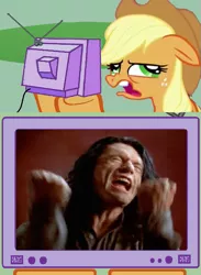 Size: 563x771 | Tagged: safe, derpibooru import, applejack, pony, exploitable meme, meme, the room, tommy wiseau, tv meme, you're tearing me apart lisa