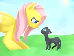 Size: 1024x768 | Tagged: artist:casocat, cat, derpibooru import, fluttershy, safe, solo