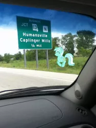 Size: 720x960 | Tagged: derpibooru import, hitchhiking, irl, lyra heartstrings, meta, photo, ponies in real life, safe