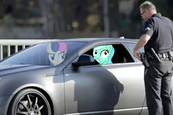 Size: 1000x667 | Tagged: safe, derpibooru import, bon bon, lyra heartstrings, sweetie drops, human, pony, bon bon is not amused, car, irl, photo, police, ponies in real life, vector