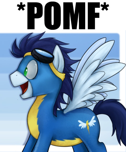 Size: 484x587 | Tagged: suggestive, artist:mn27, derpibooru import, edit, soarin', pegasus, pony, clothes, colored pupils, goggles, male, meme, pomf, reaction image, solo, stallion, uniform, wingboner, wonderbolts uniform