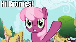 Size: 960x540 | Tagged: brony, bronybait, cheerilee, derpibooru import, fourth wall, image macro, ponyville, safe, screencap, smiling, waving