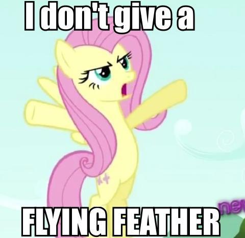 Size: 480x465 | Tagged: derpibooru import, fluttershy, flying feather, idgaf, image macro, safe