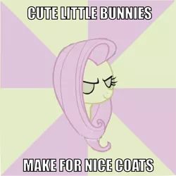 Size: 1972x1972 | Tagged: derpibooru import, discorded, flutterbitch, fluttershy, image macro, safe