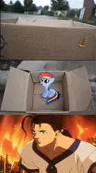 Size: 500x900 | Tagged: dashie meme, derpibooru import, exploitable meme, fanfic:my little dashie, fei fong wong, meme, safe, this will end in tears, xenogears