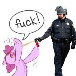 Size: 251x249 | Tagged: abuse, berry punch, berryshine, derpibooru import, john pike, pepper spray, pepper spray cop, photo, police, safe, vulgar