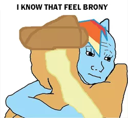 Size: 500x461 | Tagged: applejack, dem feels, derpibooru import, image macro, meme, rainbow dash, safe