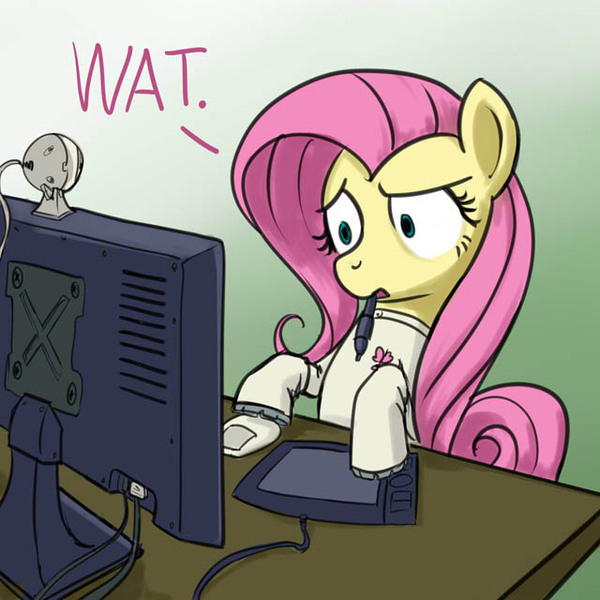 Size: 640x640 | Tagged: artist:giantmosquito, computer, derpibooru import, dr adorable, fluttershy, reaction image, safe, wat, webcam