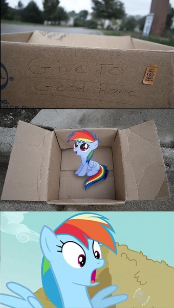 Size: 832x1470 | Tagged: crossing the memes, dashie meme, derpibooru import, exploitable meme, fanfic:my little dashie, good people finding dash meme, meme, memeception, safe, self adoption, self ponidox, shocked, what a twist