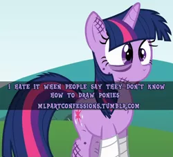 Size: 500x456 | Tagged: safe, derpibooru import, twilight sparkle, pony, unicorn, bandage, meta, pony confession, text, unicorn twilight