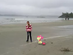 Size: 600x450 | Tagged: safe, derpibooru import, apple bloom, human, pony, beach, irl, irl human, michelle creber, photo, ponies in real life, vector, voice actor joke