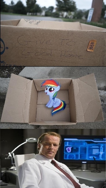 Size: 831x1470 | Tagged: dashie meme, derpibooru import, doctor isaacs, evil people finding dash meme, exploitable meme, fanfic:my little dashie, iain glen, meme, rainbow dash, resident evil, safe