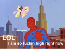 Size: 476x367 | Tagged: 60s spider-man, derpibooru import, fluttershy, high, image macro, meme, safe, spider-man, vulgar