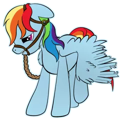 Size: 1660x1604 | Tagged: artist:zomgitsalaura, bit, bridle, clipped wings, dashed rainbow, derpibooru import, rainbow dash, sad, safe, simple background, solo, tack, transparent background