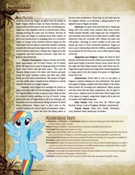 Size: 804x1044 | Tagged: safe, artist:fightingfire, derpibooru import, rainbow dash, pegasus, pony, ponyfinder, dungeons and dragons, pathfinder, pen and paper rpg, rpg, tabletop game, wall of text