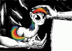 Size: 4931x3514 | Tagged: safe, artist:smellslikebeer, derpibooru import, rainbow dash, human, pony, black and white, blank flank, crosshatch, grayscale, holding a pony, ink, looking up, monochrome, neo noir, partial color, petting, prone, traditional art, wingless