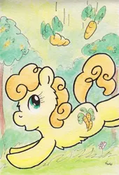 Size: 732x1077 | Tagged: artist:slightlyshade, carrot top, chest fluff, cute, cutie top, derpibooru import, golden harvest, safe, solo, traditional art