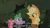 Size: 853x479 | Tagged: safe, artist:bongo, derpibooru import, edit, edited screencap, screencap, applejack, pinkie pie, spike, twilight sparkle, dragon, earth pony, pony, unicorn, feeling pinkie keen, artifact, brony history, caption, crossing the line twice, epic fail, everfree forest, facepalm, fail, female, frown, holocaust, holocaust denial, holocaust joke, image, implied death, implied explosion, jew, judaism, male, mare, meme, open mouth, png, tree, unamused, we are going to hell, what the heck?, youtube caption