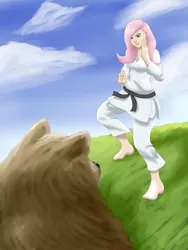 Size: 3000x4000 | Tagged: artist:xeolan, bear, black belt, clothes, derpibooru import, fearless, fluttershy, gi, humanized, karate, martial arts, robe, safe, trousers