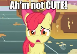 Size: 604x423 | Tagged: safe, derpibooru import, apple bloom, earth pony, pony, accent, apple bloom's bow, bow, cute, female, filly, hair bow, hub logo, i'm not cute, image macro, impact font, lies