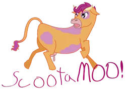 Size: 674x500 | Tagged: artist:gimpcowking, cow, cowified, derpibooru import, safe, scootaloo, scootamoo, species swap, udder