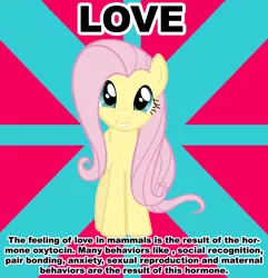 Size: 1468x1523 | Tagged: safe, derpibooru import, fluttershy, pegasus, pony, advice meme, caption, exploitable meme, female, folded wings, full face view, head tilt, image macro, looking at you, love, mare, meme, smiling, solo, standing, text, wings