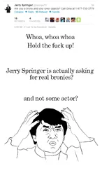 Size: 561x963 | Tagged: derpibooru import, jerry springer, meta, safe, text, twitter