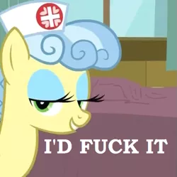 Size: 563x561 | Tagged: suggestive, derpibooru import, edit, edited screencap, screencap, nurse coldheart, earth pony, pony, bedroom eyes, caption, eyeshadow, female, i'd fuck it, makeup, mare, mspaintponies, reaction image, smiling, text