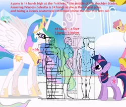 Size: 642x546 | Tagged: suggestive, derpibooru import, dizzy twister, lyra heartstrings, orange swirl, princess celestia, twilight sparkle, alicorn, human, pony, unicorn, anatomy, barefoot, chart, cloudsdale, comparison, feet, hand, inches, meta, size chart, size comparison, unicorn twilight