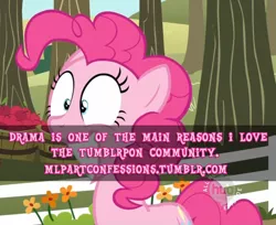 Size: 500x407 | Tagged: bronyetiquette, derpibooru import, image macro, meta, pinkie pie, pink text, pony confession, safe, text