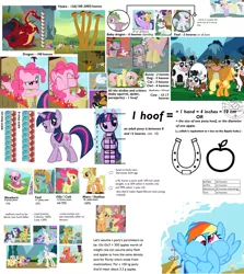 Size: 1360x1528 | Tagged: safe, derpibooru import, angel bunny, apple bloom, applejack, basil, bessie, big macintosh, caramel, cheerilee, cotton cloudy, cyan skies, daisy jo, dinky hooves, fluttershy, opalescence, owlowiscious, pinkie pie, princess celestia, rainbow dash, rarity, snails, snips, spike, twilight sparkle, winona, cow, dragon, earth pony, hydra, parasprite, pony, spider, analysis, male, multiple heads, size chart, size comparison, stallion, udder