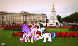 Size: 3072x1815 | Tagged: safe, artist:pinkiecannon, derpibooru import, princess cadance, shining armor, pony, britain, buckingham palace, england, female, irl, kissing, male, photo, ponies in real life, rose, shiningcadance, shipping, straight, vector