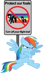 Size: 6000x10285 | Tagged: absurd resolution, artist:yoshimon1, crossed arms, derpibooru import, rainbow dash, safe, scootaloo, sign, simple background, transparent background