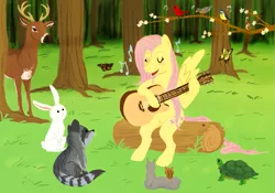 Size: 981x688 | Tagged: angel bunny, artist:cartoonlion, bird, butterfly, deer, derpibooru import, fluttershy, guitar, rabbit, raccoon, safe, singing, squirrel, tortoise