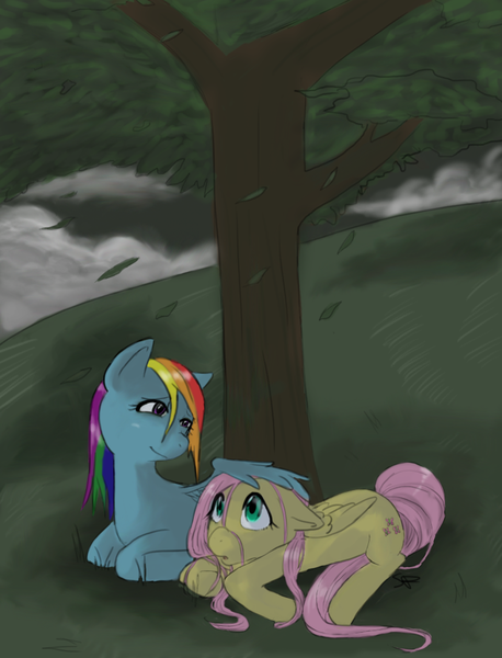 Size: 790x1034 | Tagged: artist:valiumangel, derpibooru import, fluttershy, ponibooru import, rain, rainbow dash, safe, tree