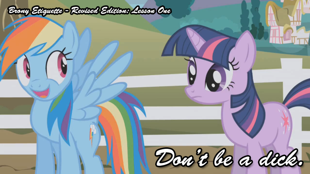 Size: 639x359 | Tagged: bronyetiquette, derpibooru import, image macro, meta, rainbow dash, revised, safe, text, twilight sparkle